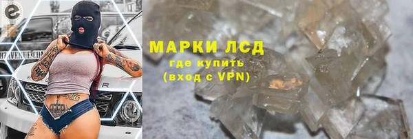 дживик Щёлкино