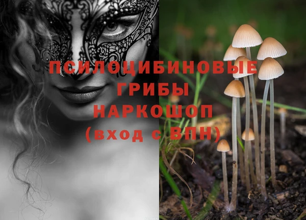 COCAINE Щигры