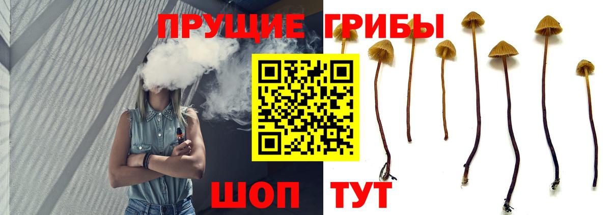 Коломна  Галлюциногенные грибы Psilocybine cubensis  Вход с VPN 